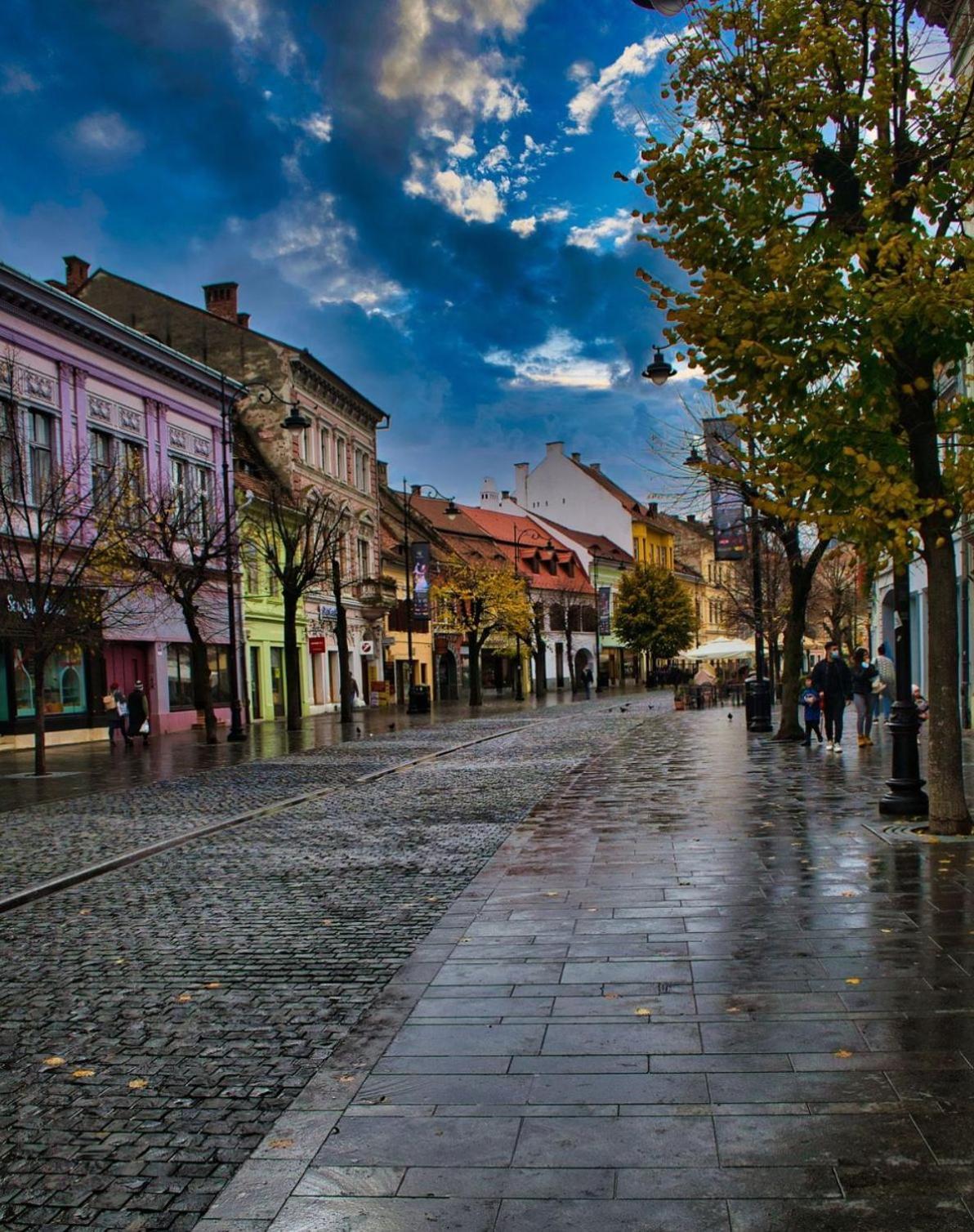 Phoenix Central Apartments Sibiu Eksteriør billede